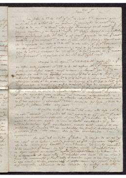 Informe de Francisco de Saavedra a Antonio Valdés en el que se evalúa la exportación de mulas venezolanas a las colonias extranjeras