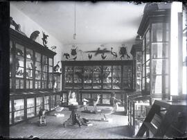 Laboratorio de ciencias naturales