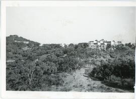 Panorámica